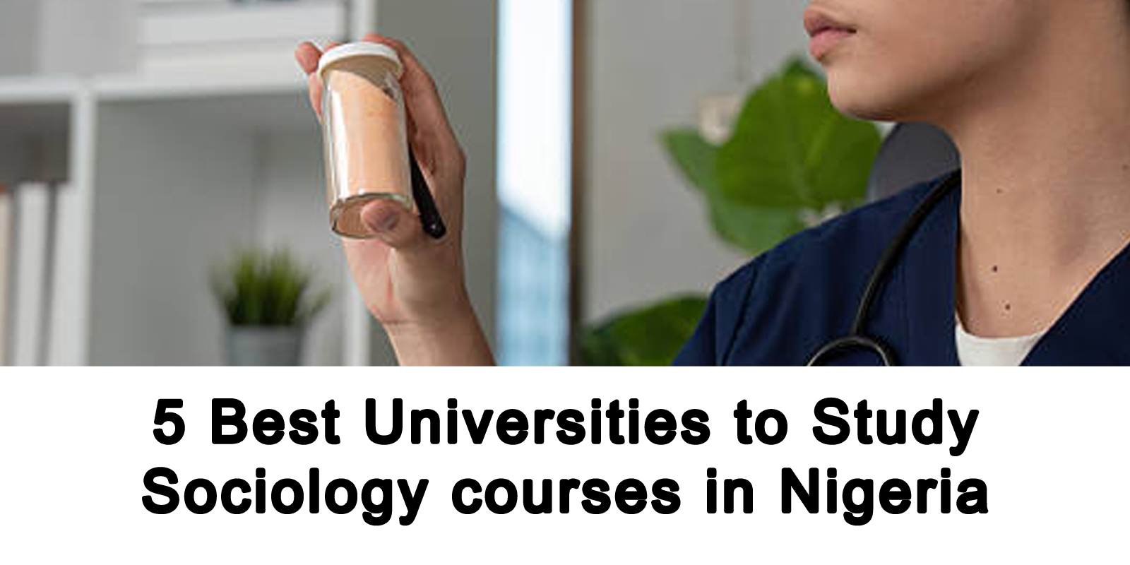 Sociology-courses